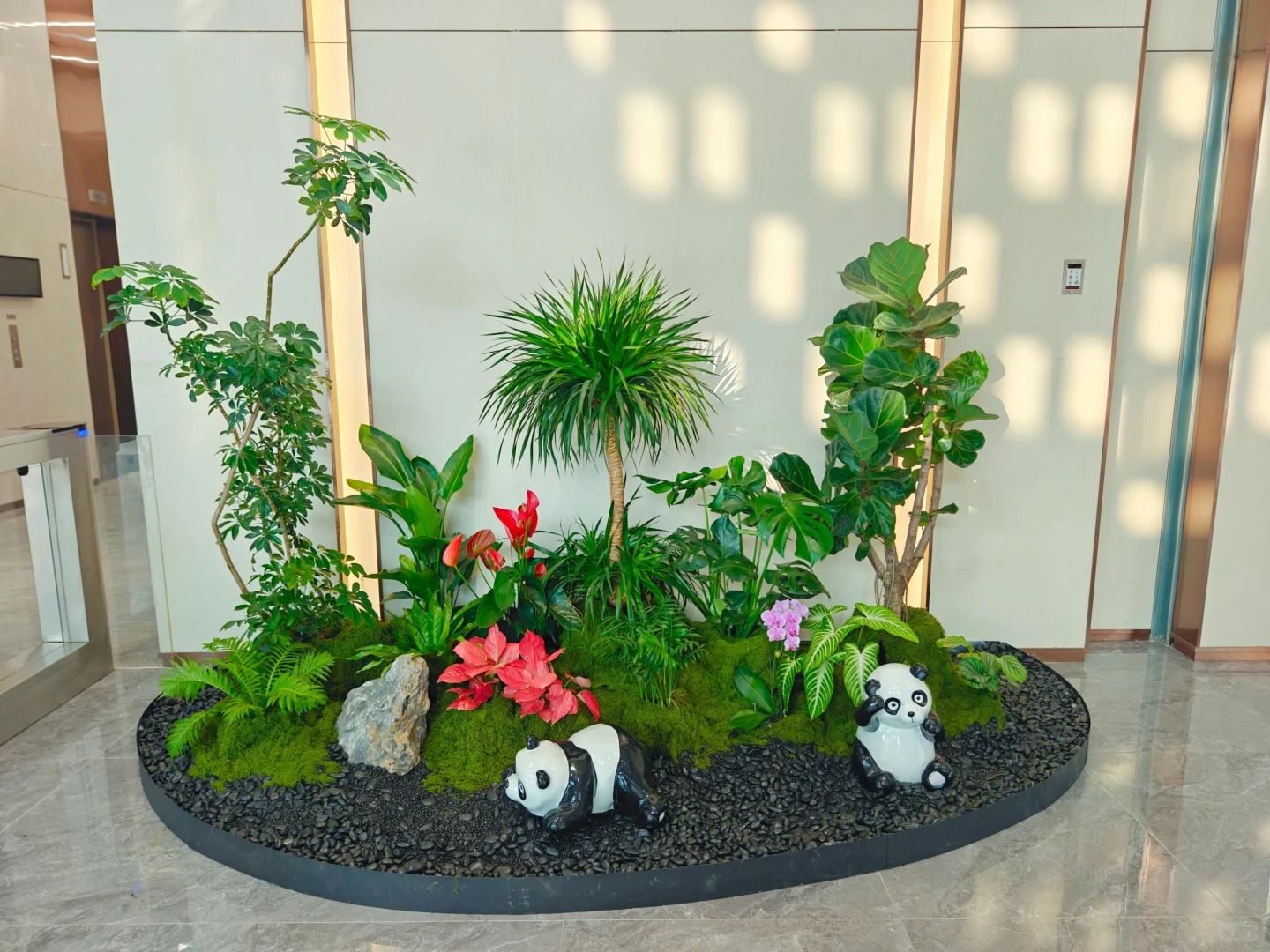 专业余姚花木租摆，营造专属绿色氛围